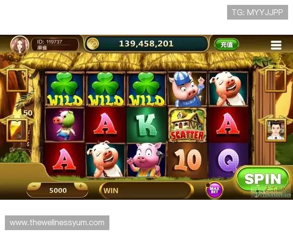 专业运营的老虎机网站送体验金平台确保每一位玩家都能安心游戏获利