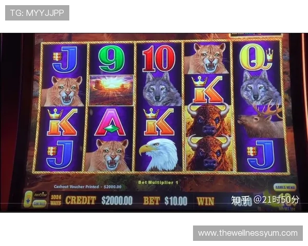 了解老虎机的英文名称及其在不同国家和地区的常用称呼方法