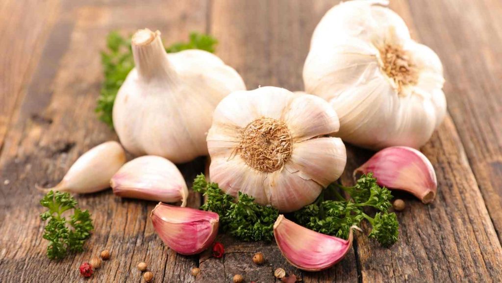 Health Benefits of Garlic