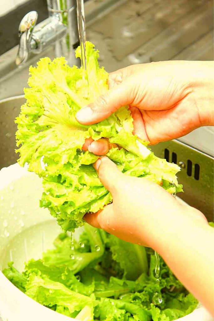 Some fruits and vegetables demand special attention - How to Wash Fruits and Vegetables