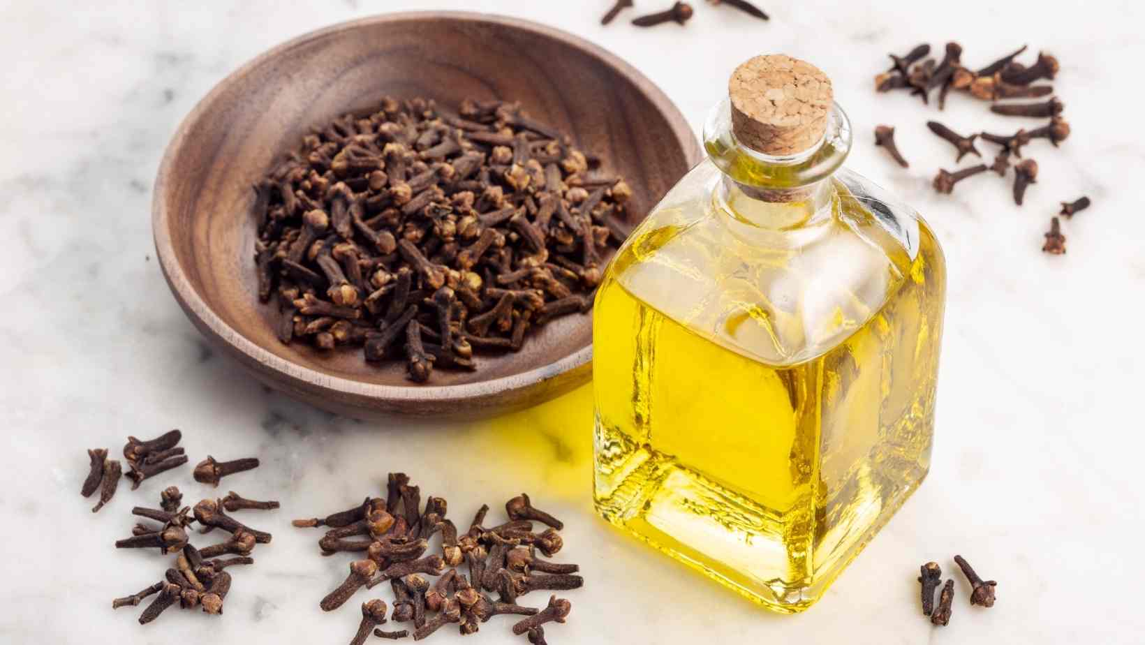 Clove - Spices Really Benefit Your Health