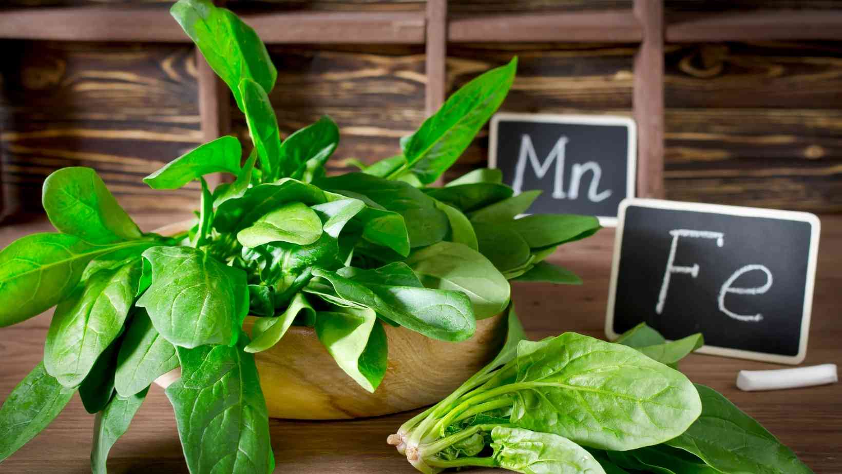 High Manganese Foods