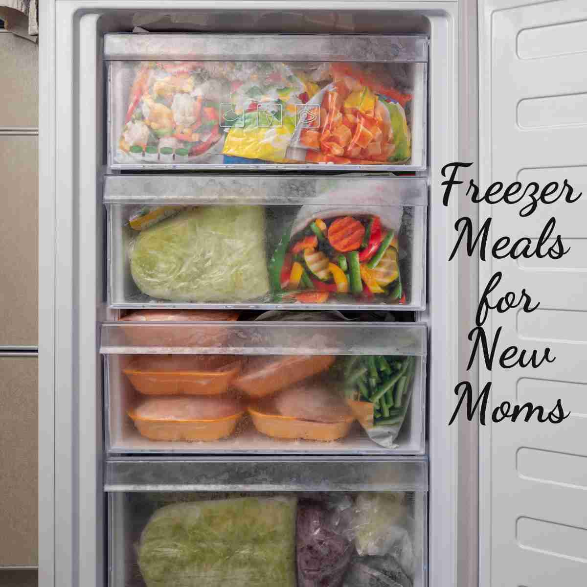 Quick & Delicious Freezer Meals for New Moms