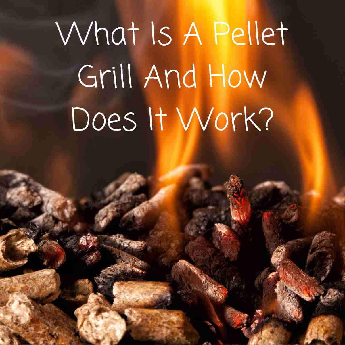 What Is A Pellet Grill And How Does It Work?